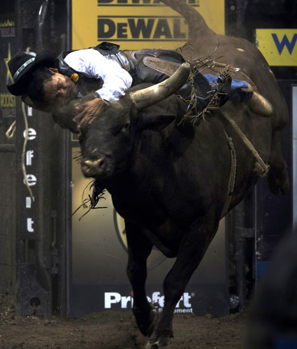 man riding bull