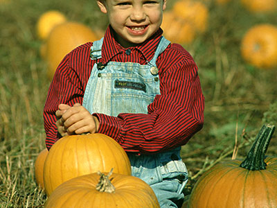 pumpkins photo