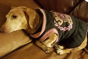 Sleepy Mae
