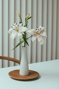 Flowers in a Pot