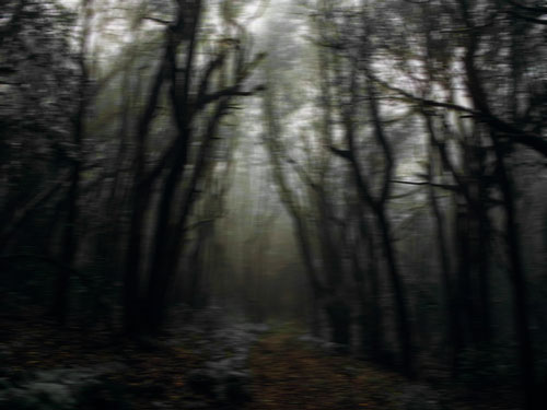 running through a spooky forest